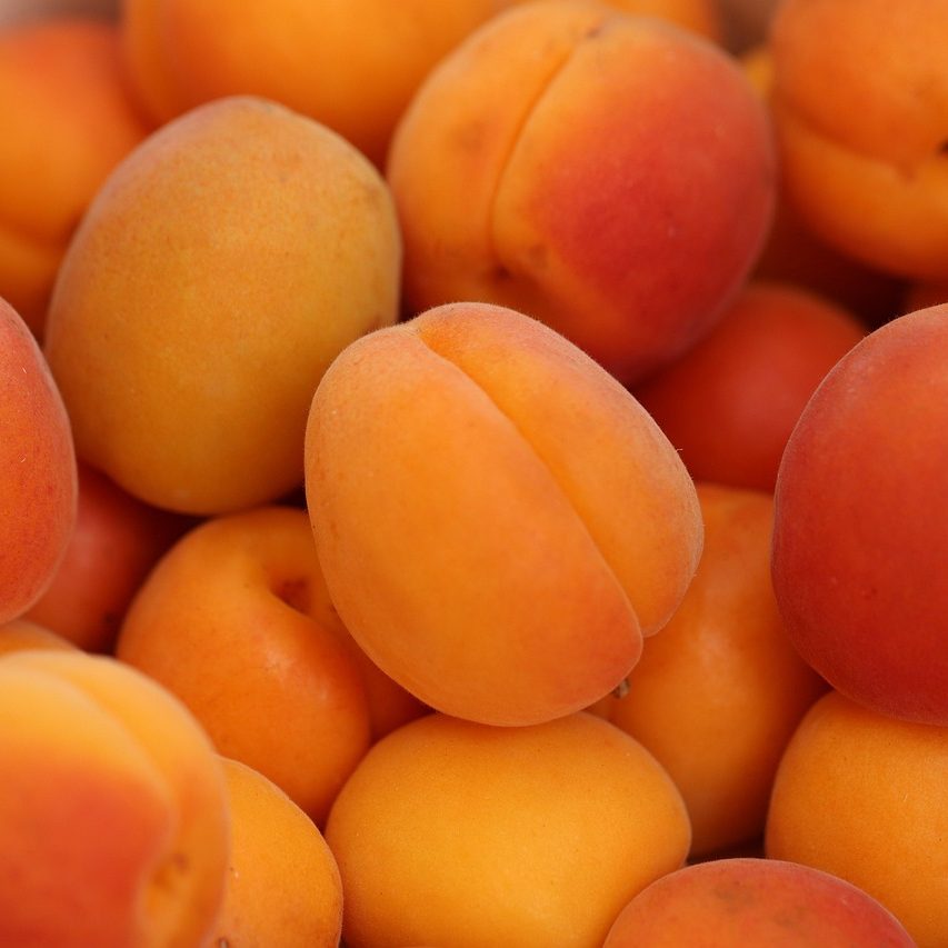 apricots, fresh, nutrition, food, healthy, vitamins, sweet, orange, delicious, health, juicy, ripe, fruit, vitamin, dessert, vegetarian, apricot, apricots, apricot, apricot, apricot, apricot, apricot