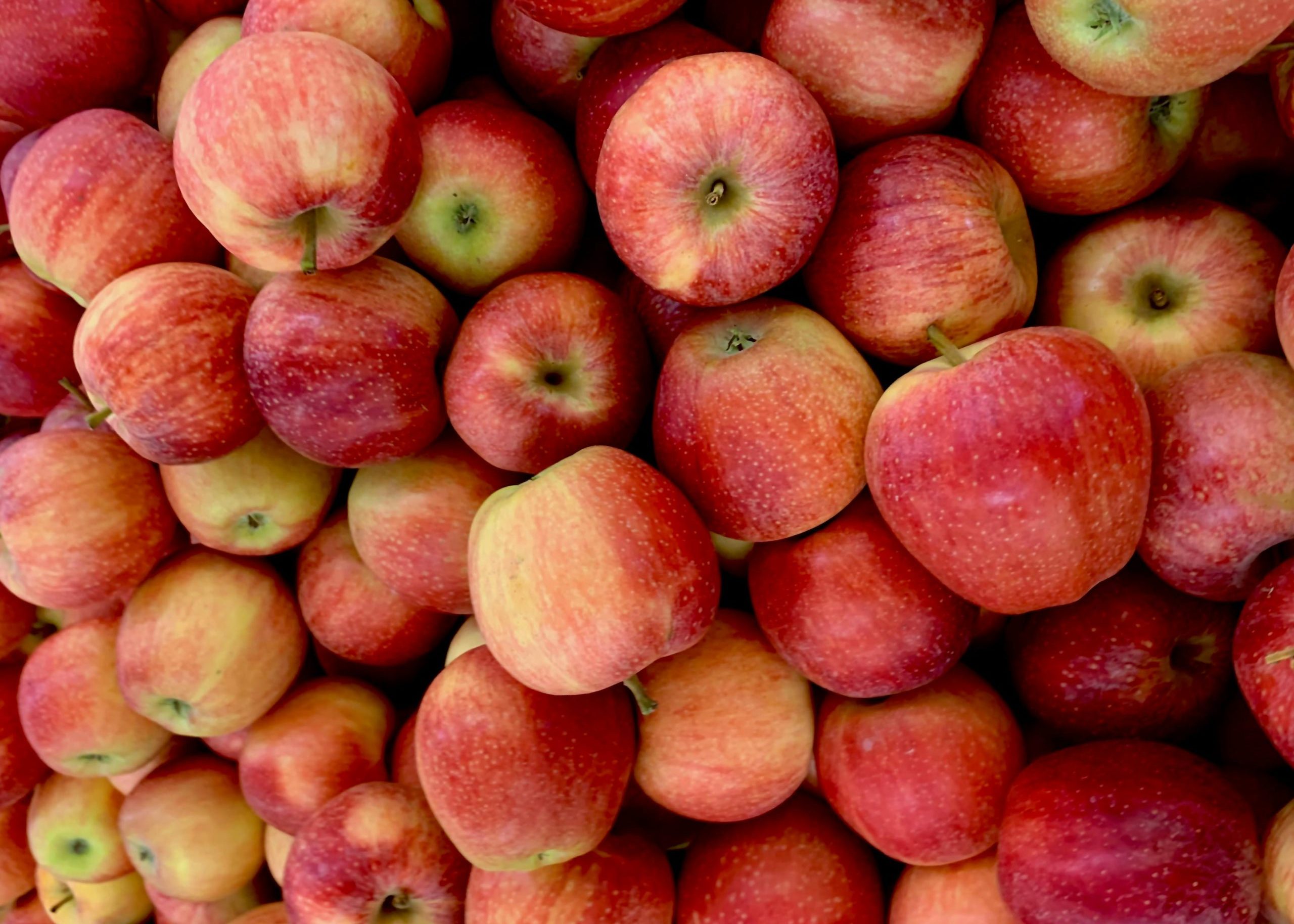 A vibrant pile of fresh, organic red apples showcasing their natural, delicious appeal.