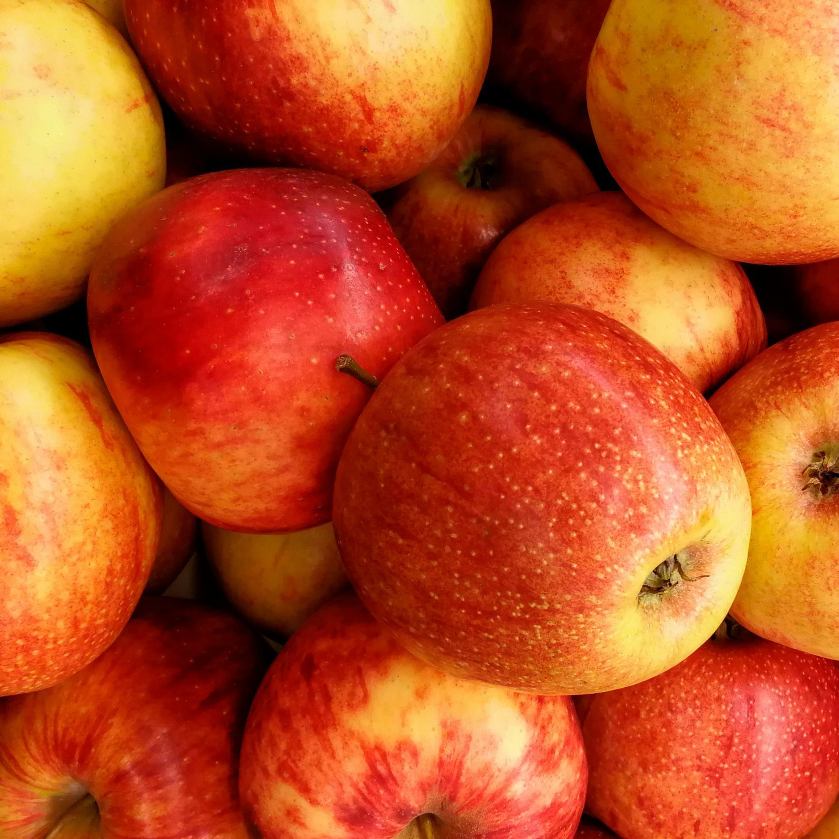Close-up of fresh, vibrant red apples piled together, showcasing their nutritious appeal.